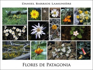 Flores de la Patagonia